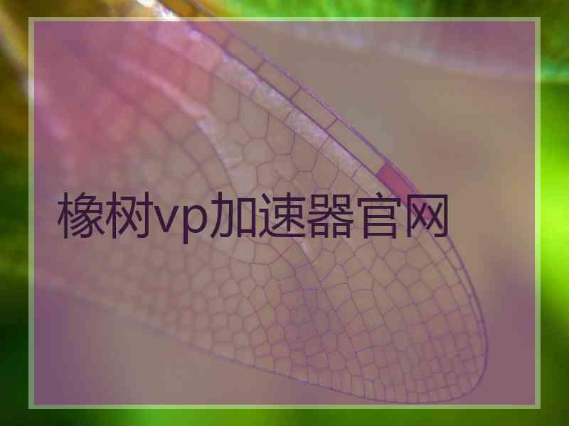 橡树vp加速器官网