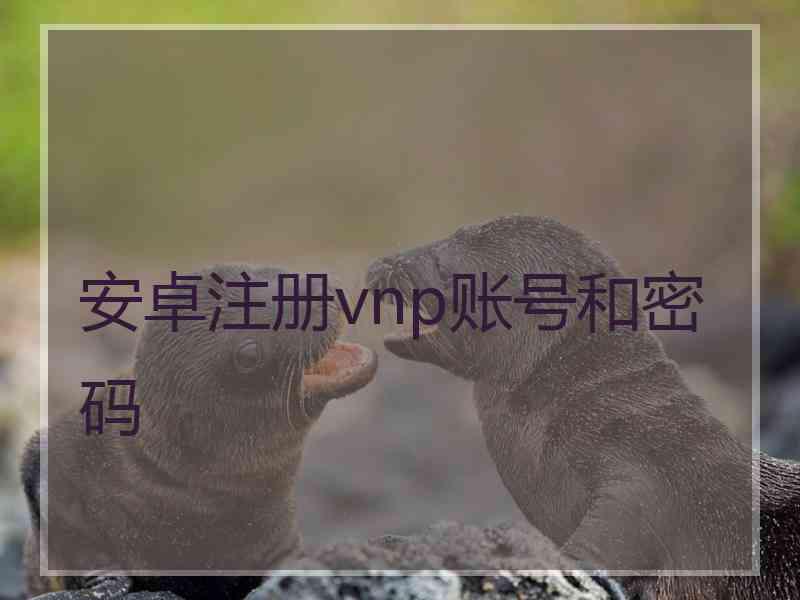 安卓注册vnp账号和密码