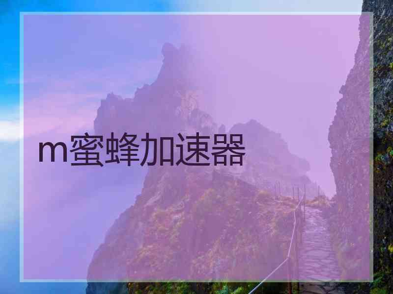 m蜜蜂加速器
