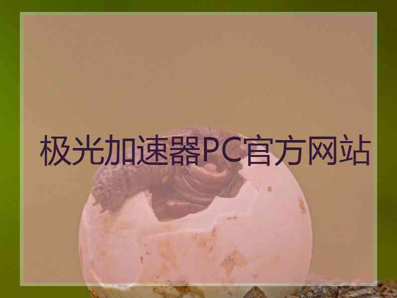 极光加速器PC官方网站
