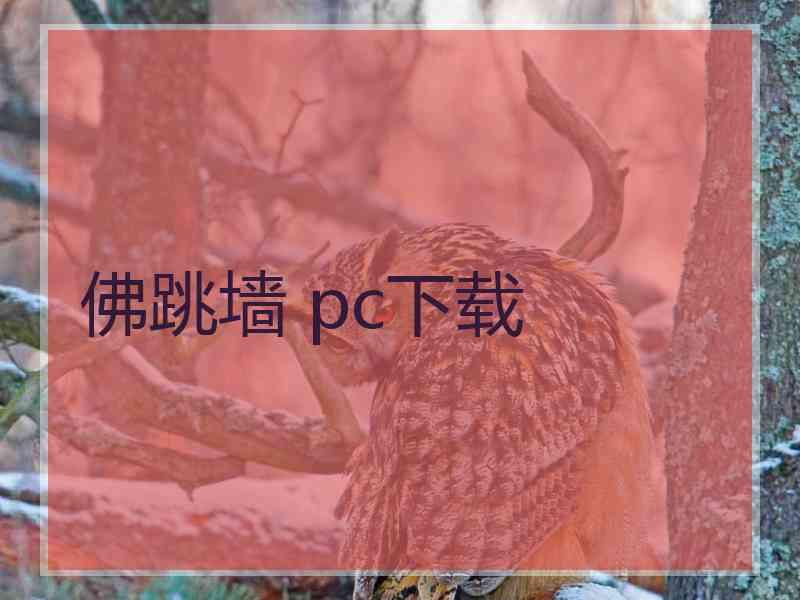 佛跳墙 pc下载