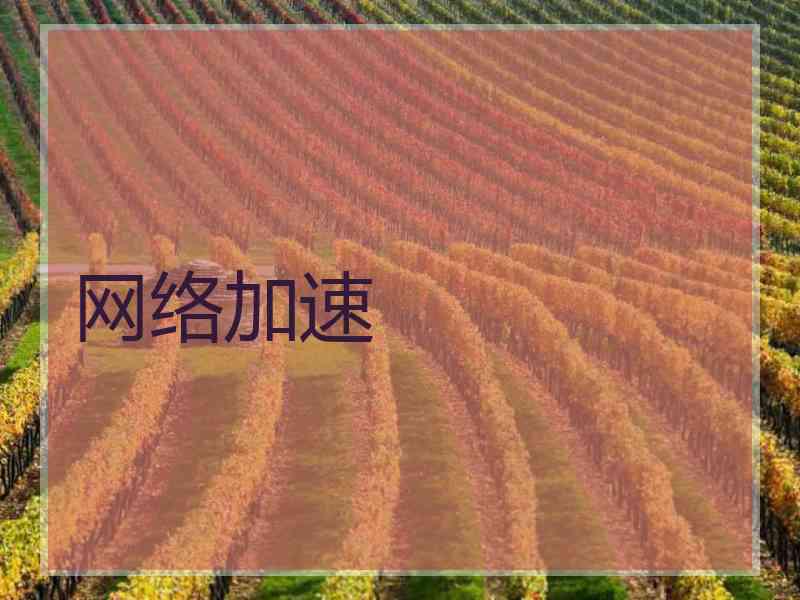 网络加速