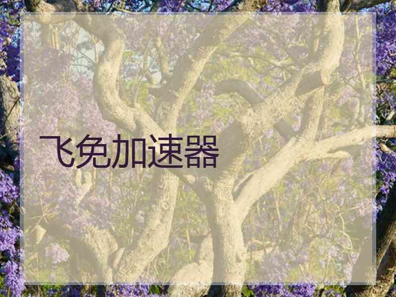 飞免加速器