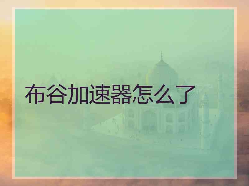 布谷加速器怎么了