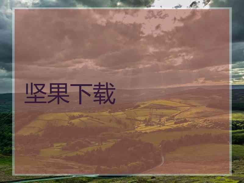坚果下载