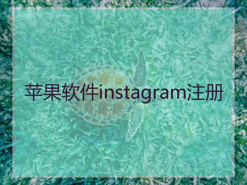 苹果软件instagram注册
