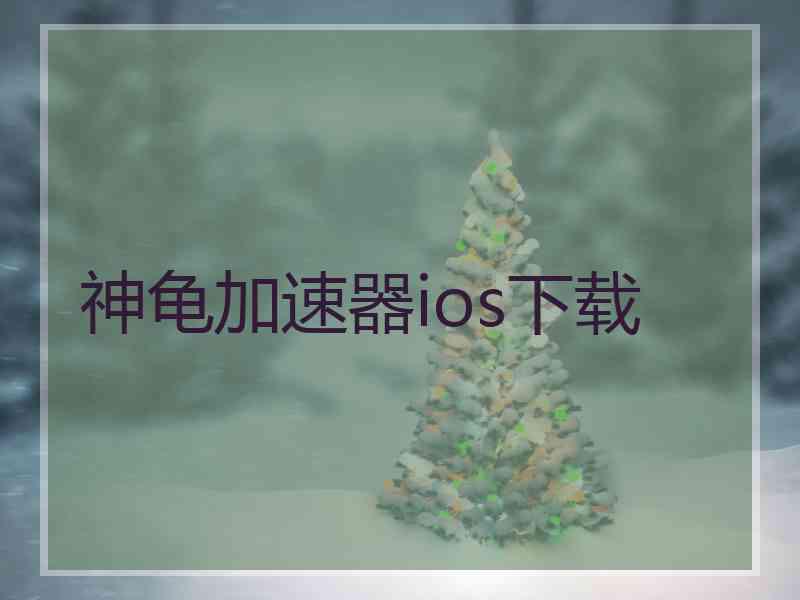 神龟加速器ios下载