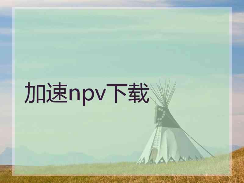 加速npv下载