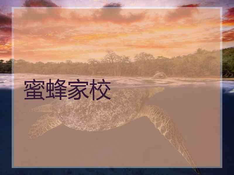 蜜蜂家校
