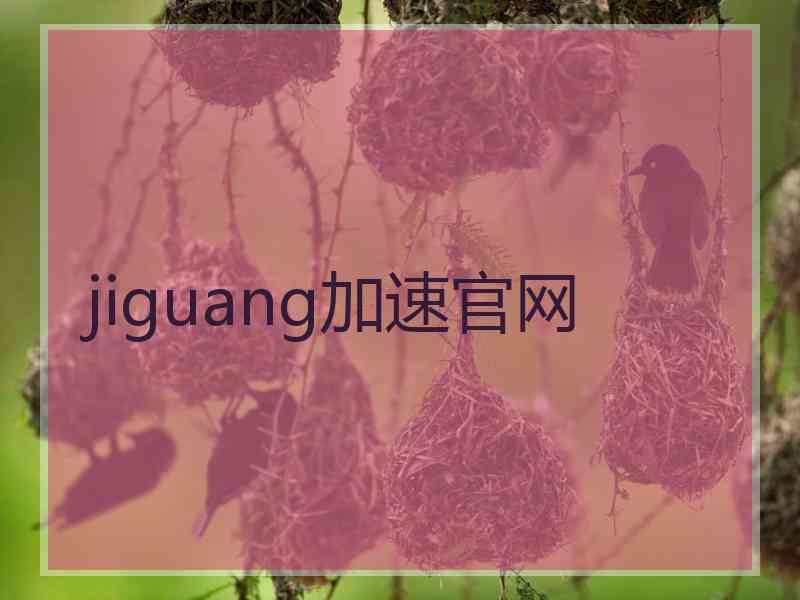 jiguang加速官网