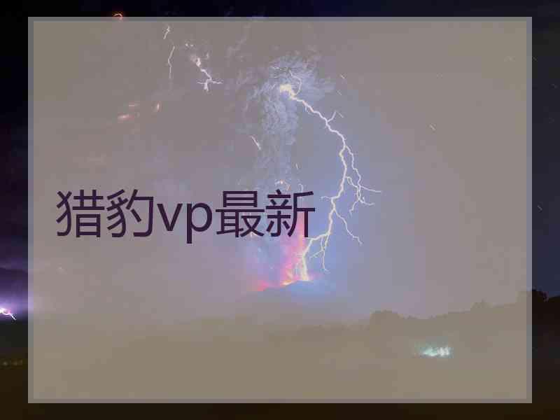 猎豹vp最新