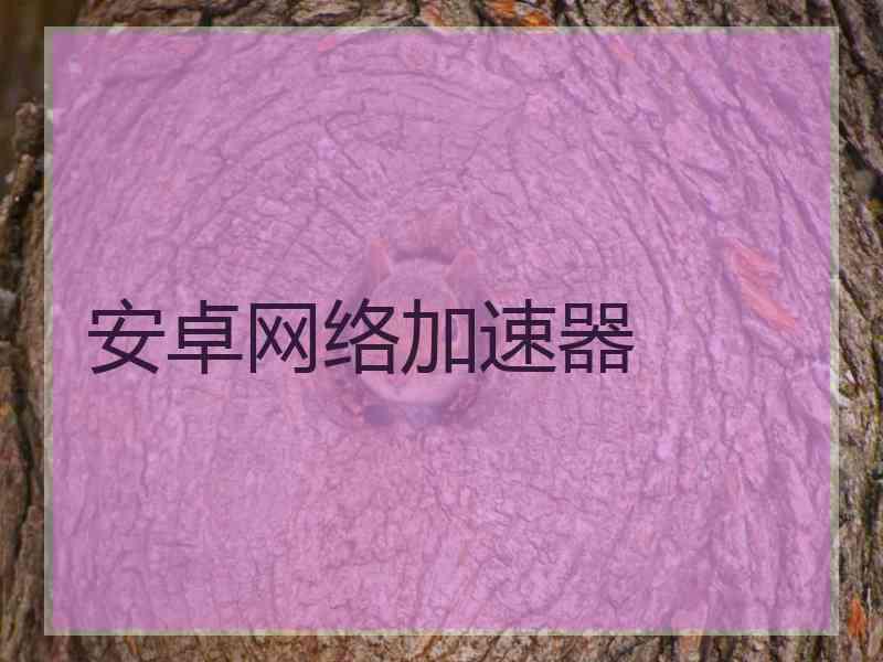 安卓网络加速器