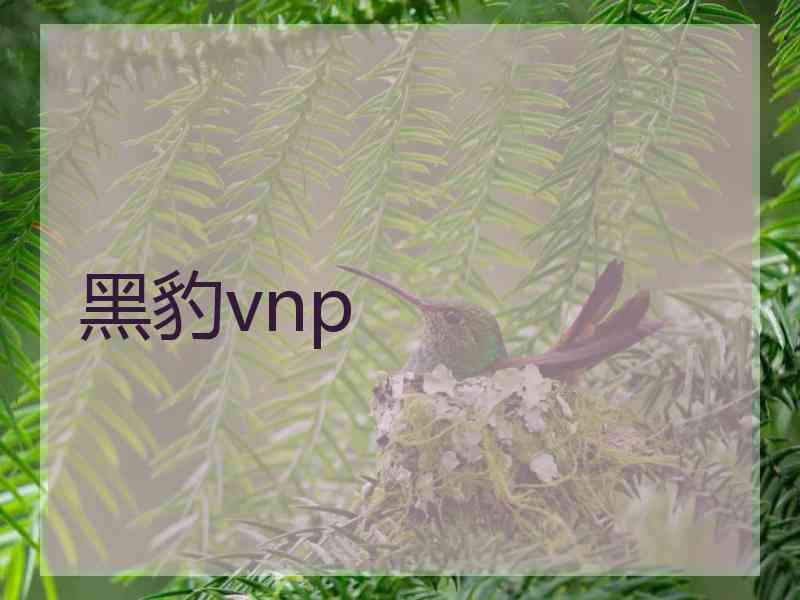 黑豹vnp