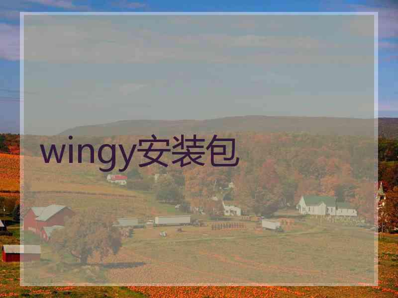wingy安装包