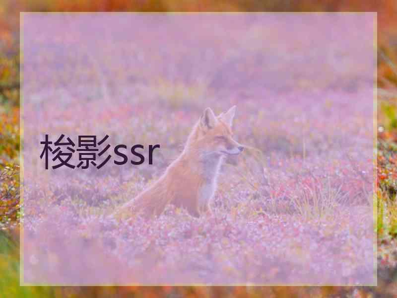 梭影ssr