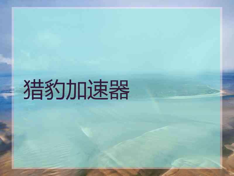 猎豹加速器