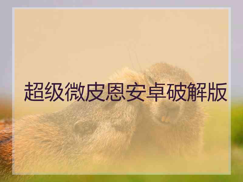 超级微皮恩安卓破解版