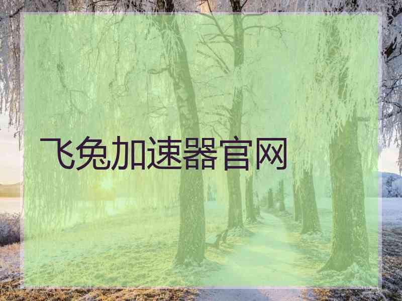 飞兔加速器官网
