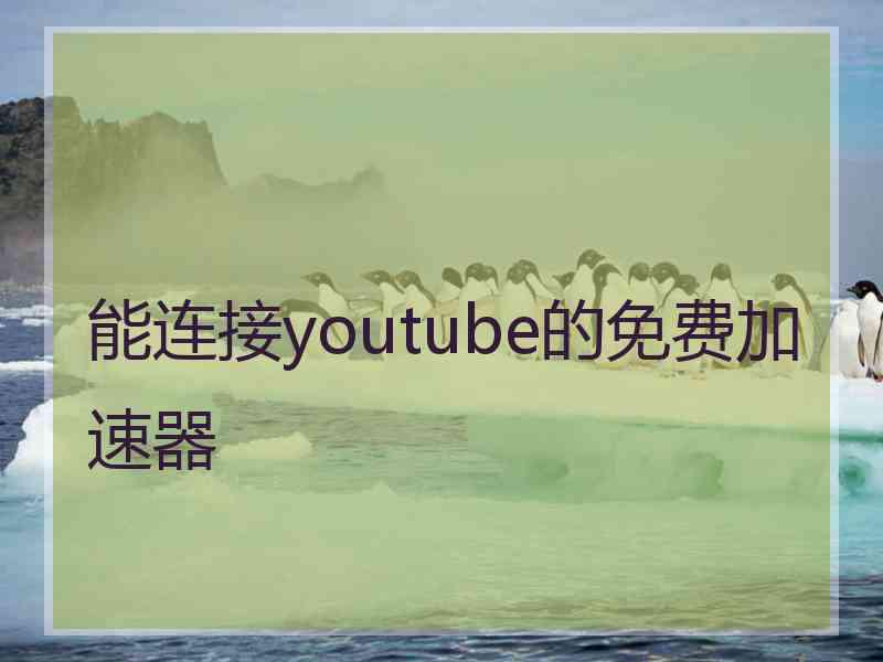 能连接youtube的免费加速器