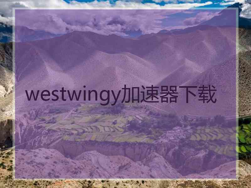 westwingy加速器下载