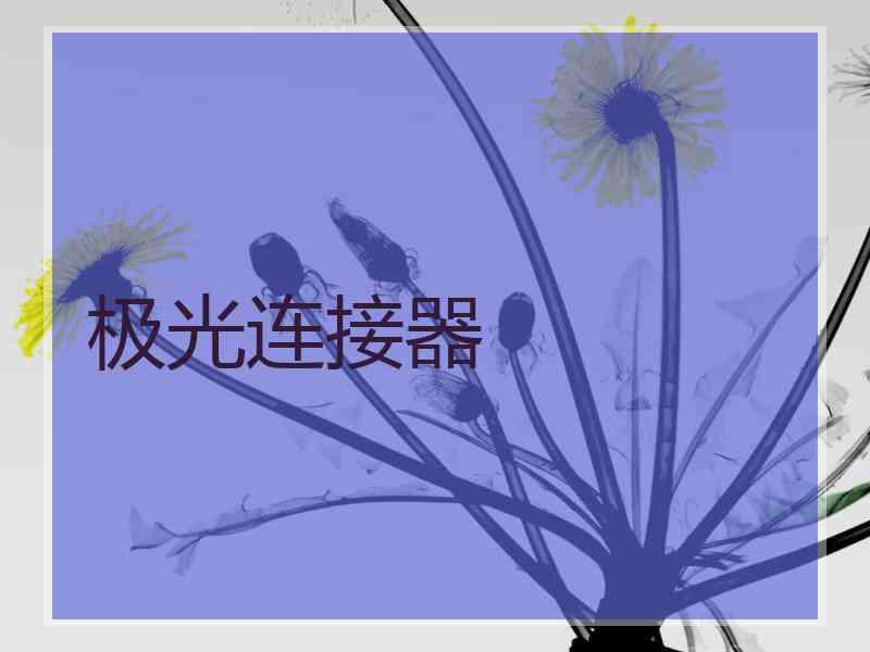 极光连接器