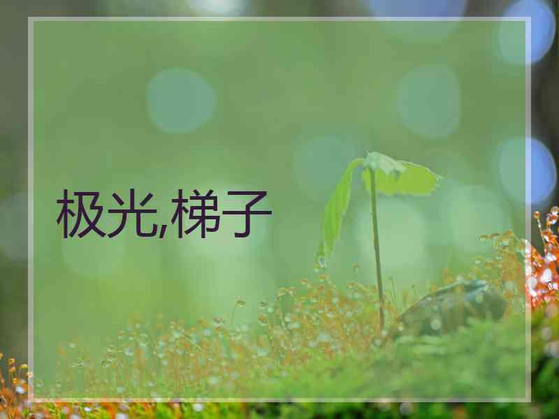 极光,梯子
