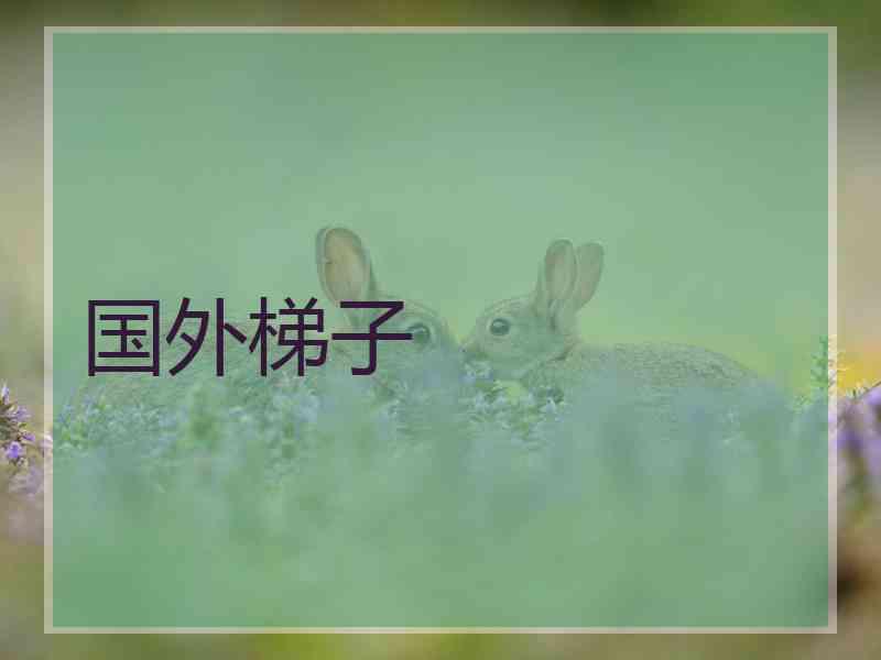 国外梯子