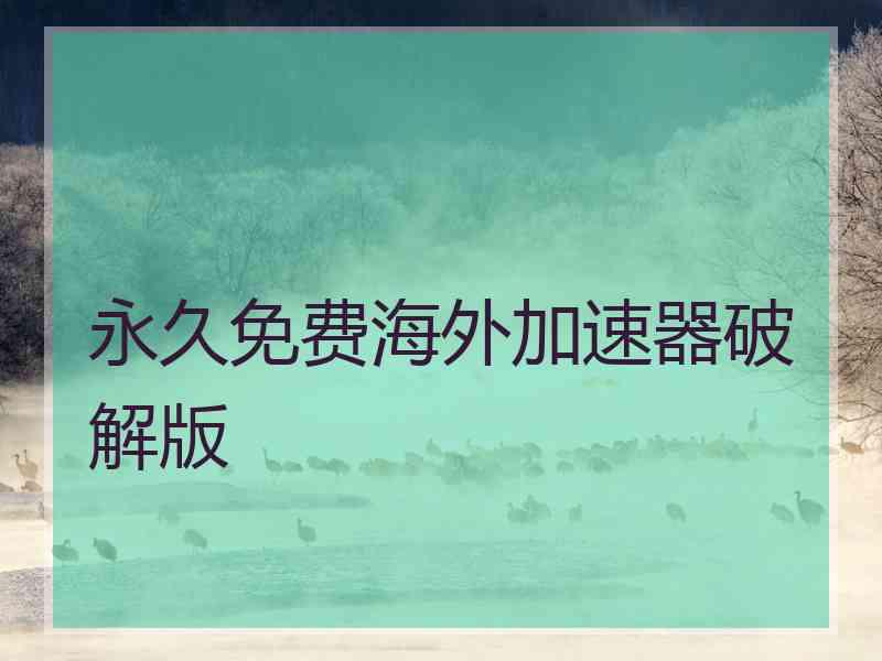 永久免费海外加速器破解版