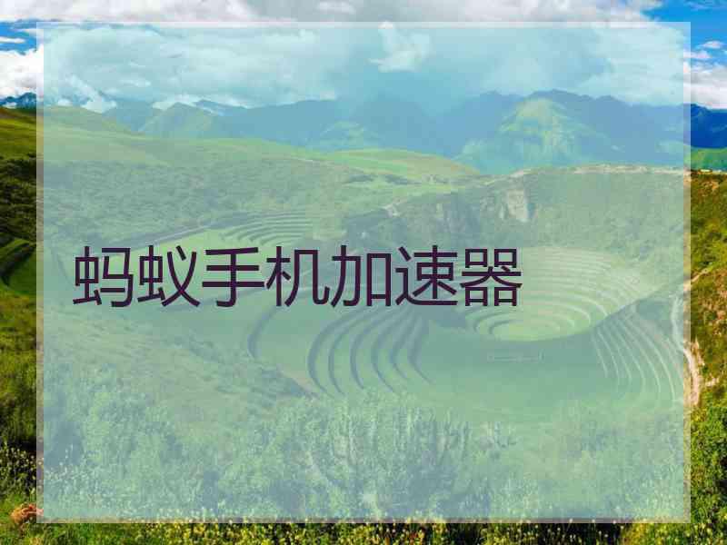 蚂蚁手机加速器