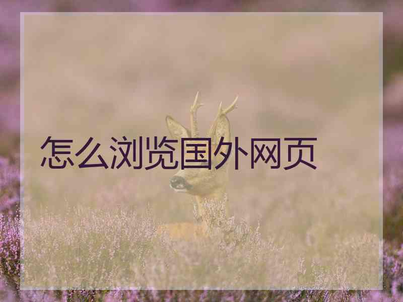 怎么浏览国外网页