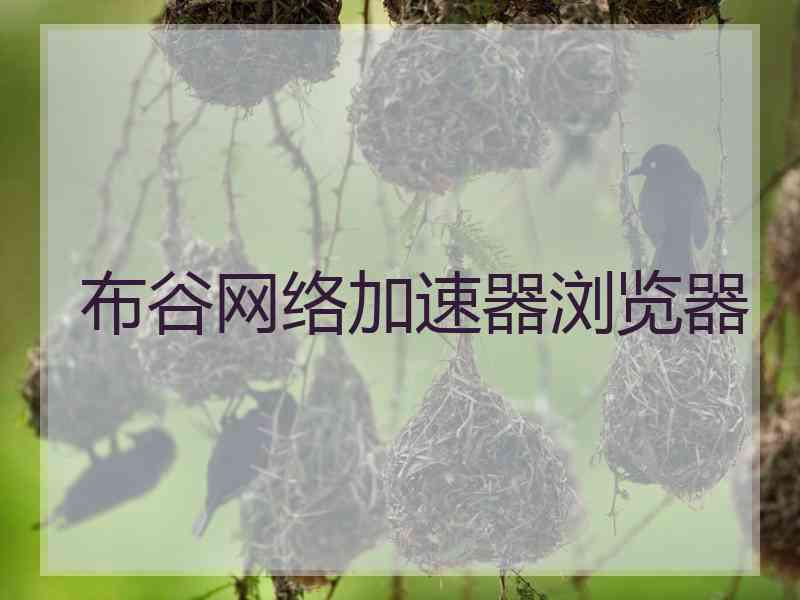 布谷网络加速器浏览器