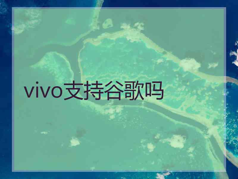 vivo支持谷歌吗