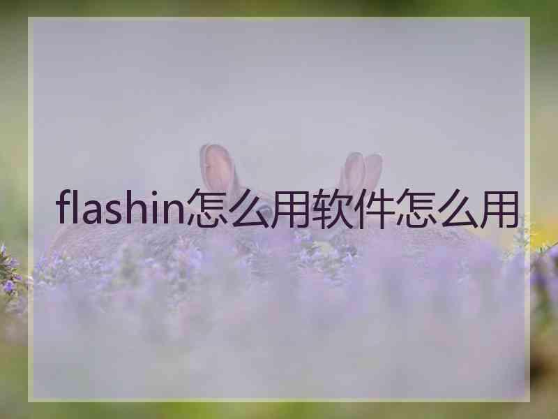 flashin怎么用软件怎么用