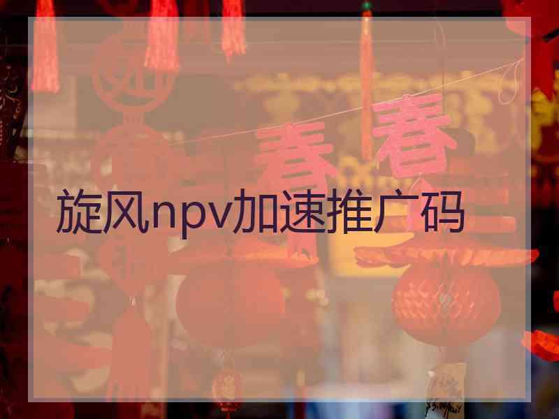 旋风npv加速推广码