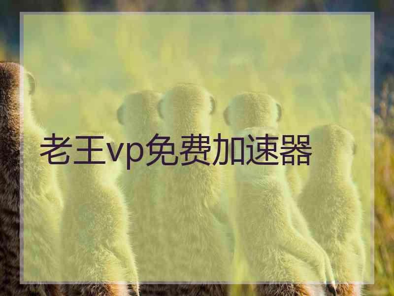 老王vp免费加速器