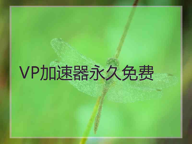 VP加速器永久免费