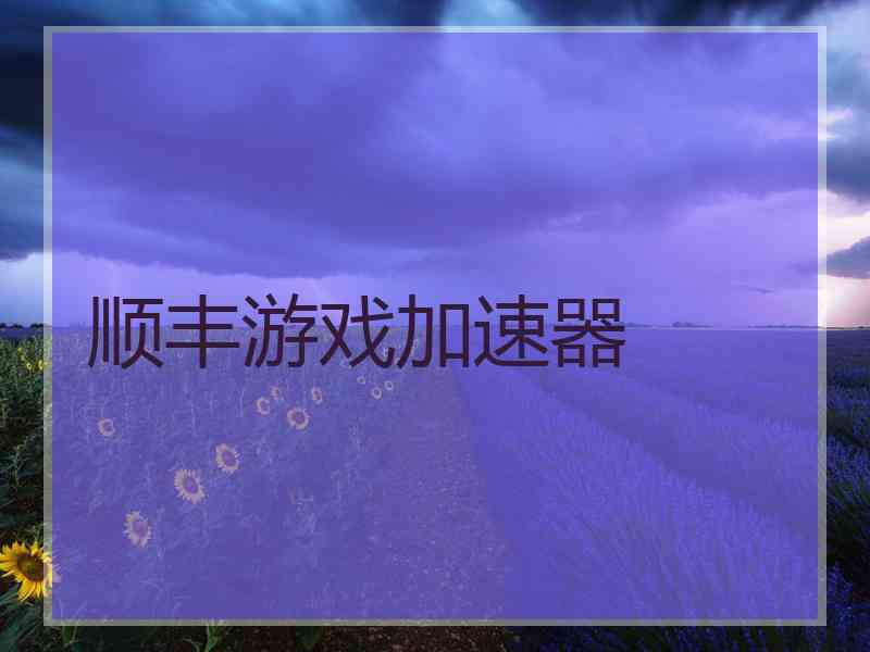 顺丰游戏加速器
