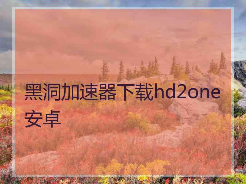 黑洞加速器下载hd2one安卓
