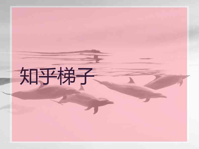 知乎梯子