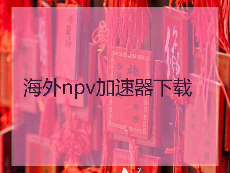 海外npv加速器下载