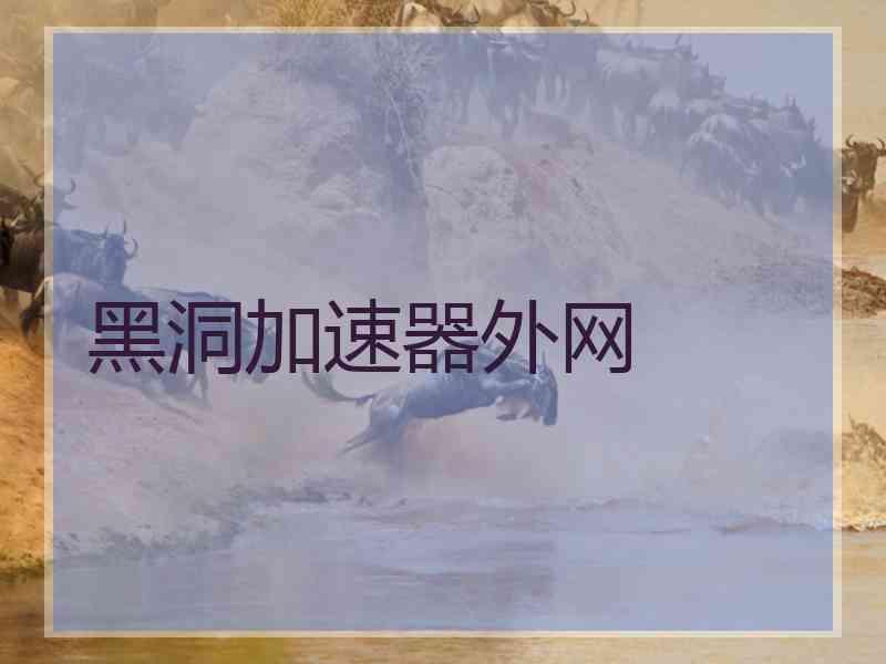 黑洞加速器外网