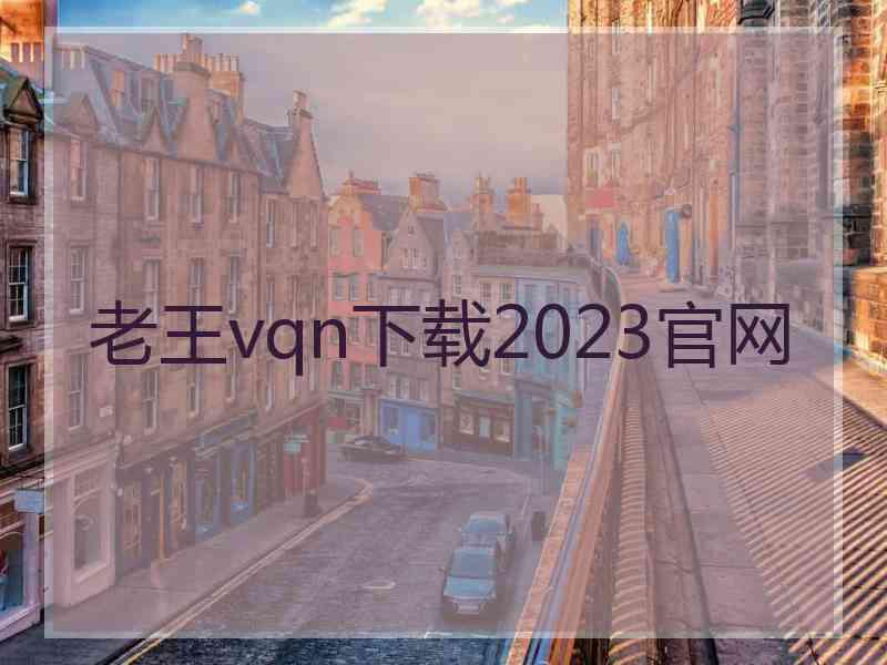 老王vqn下载2023官网