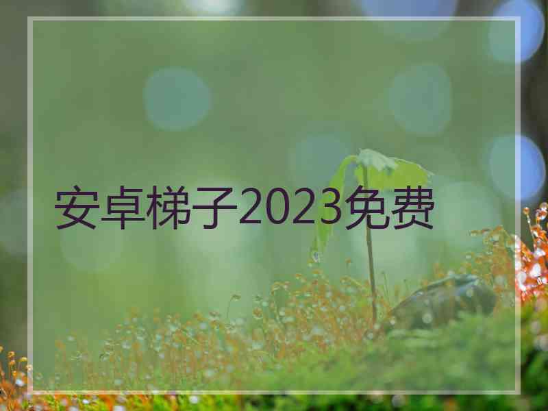 安卓梯子2023免费