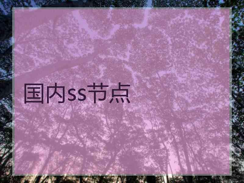 国内ss节点