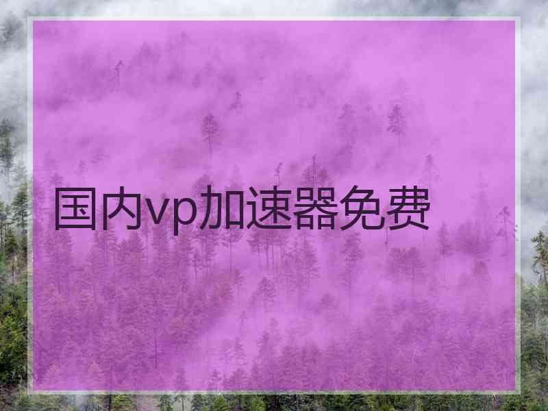 国内vp加速器免费