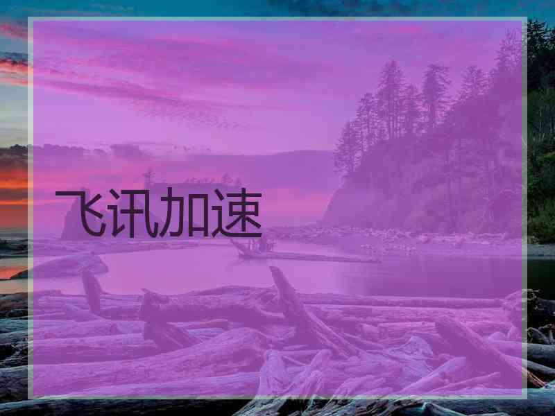 飞讯加速