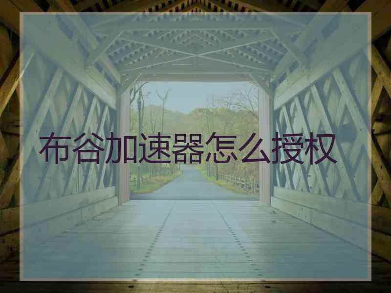 布谷加速器怎么授权