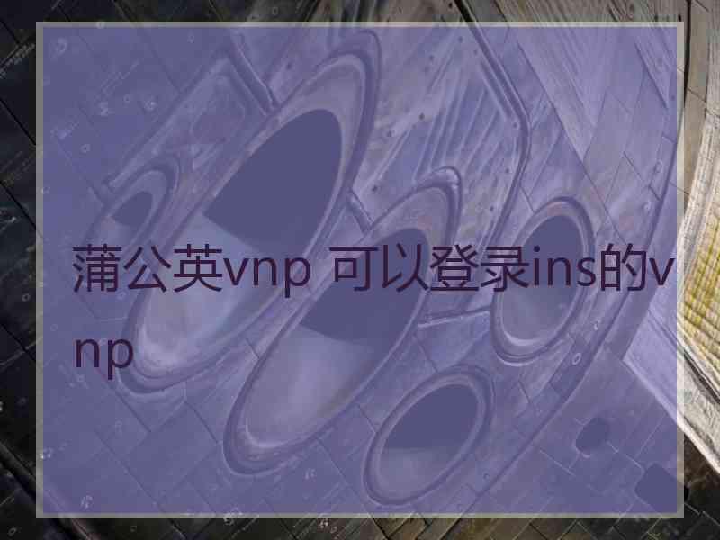 蒲公英vnp 可以登录ins的vnp