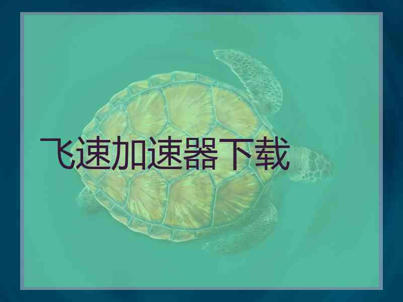 飞速加速器下载