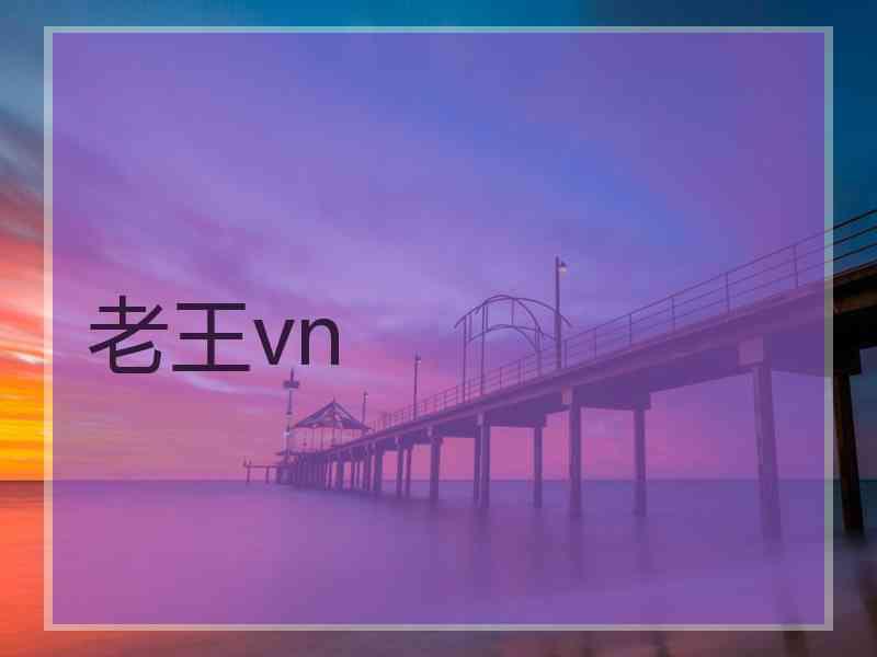 老王vn